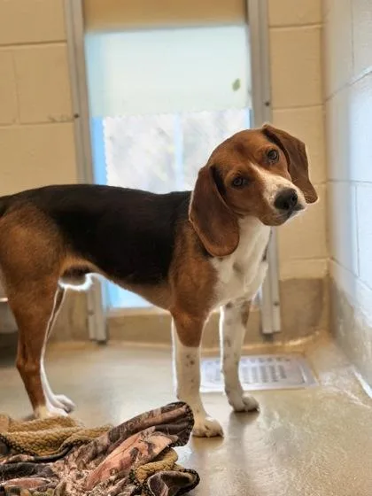 Stromboli thumbnail 2