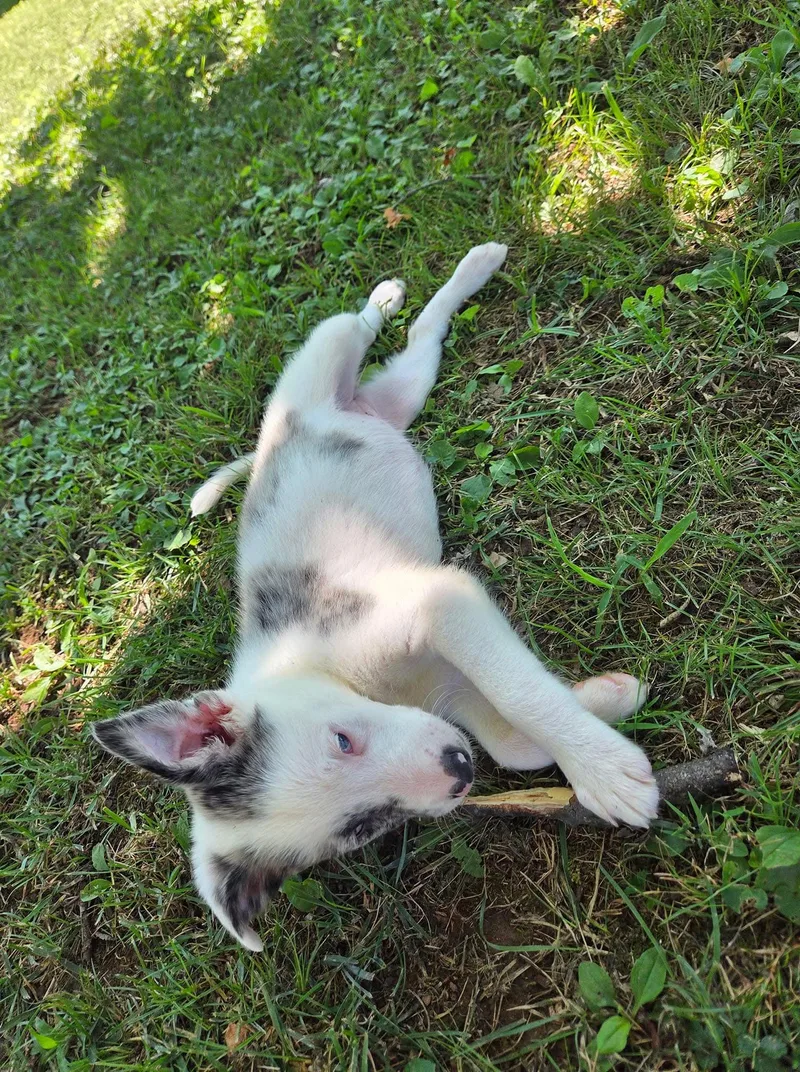 Valentina thumbnail 4