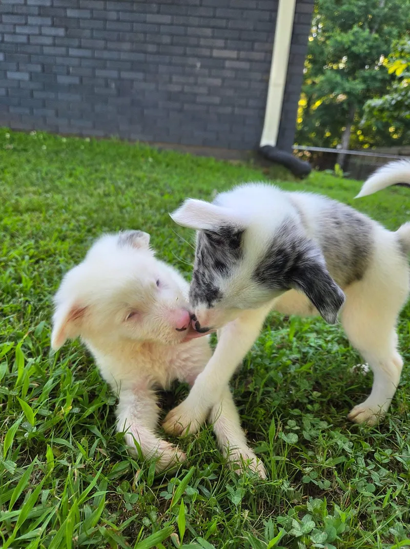 Valentina thumbnail 5