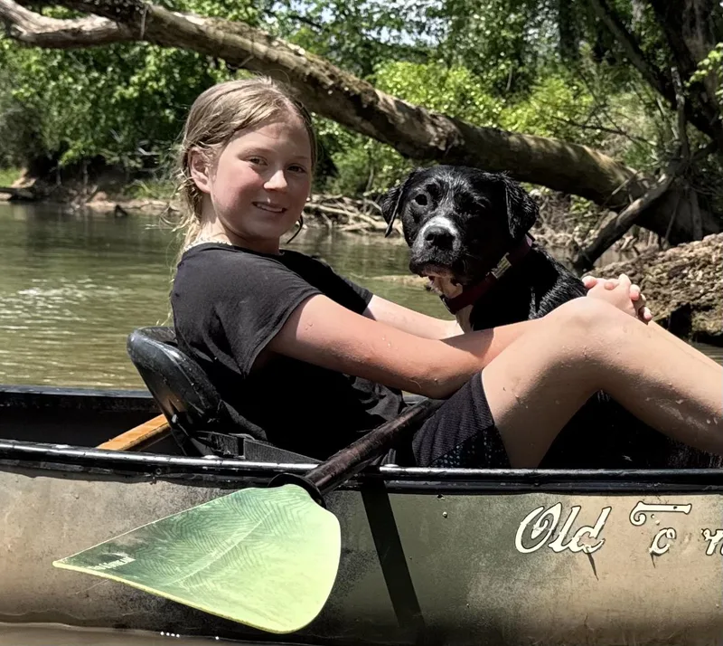 A young large-sized female Black English Pointer dog named Koa for adoption in Andover, MA