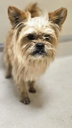 Rue thumbnail 2