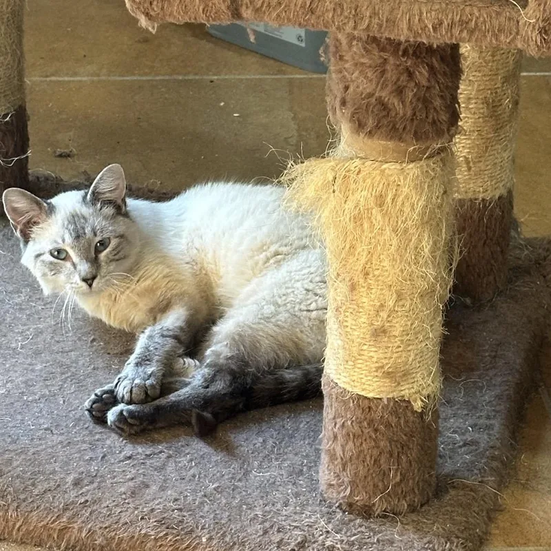 Marco Polo Pw thumbnail 2