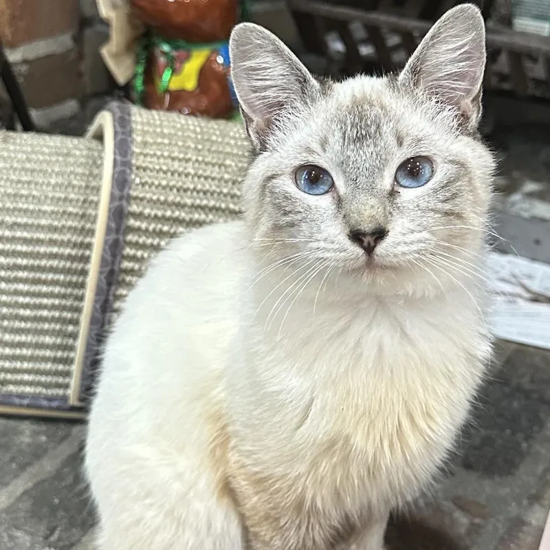 Marco Polo Pw thumbnail 5