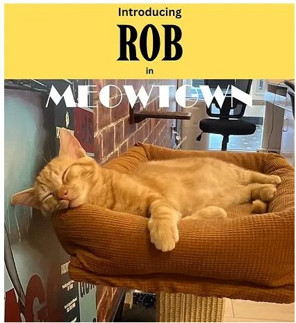 Rob thumbnail 3