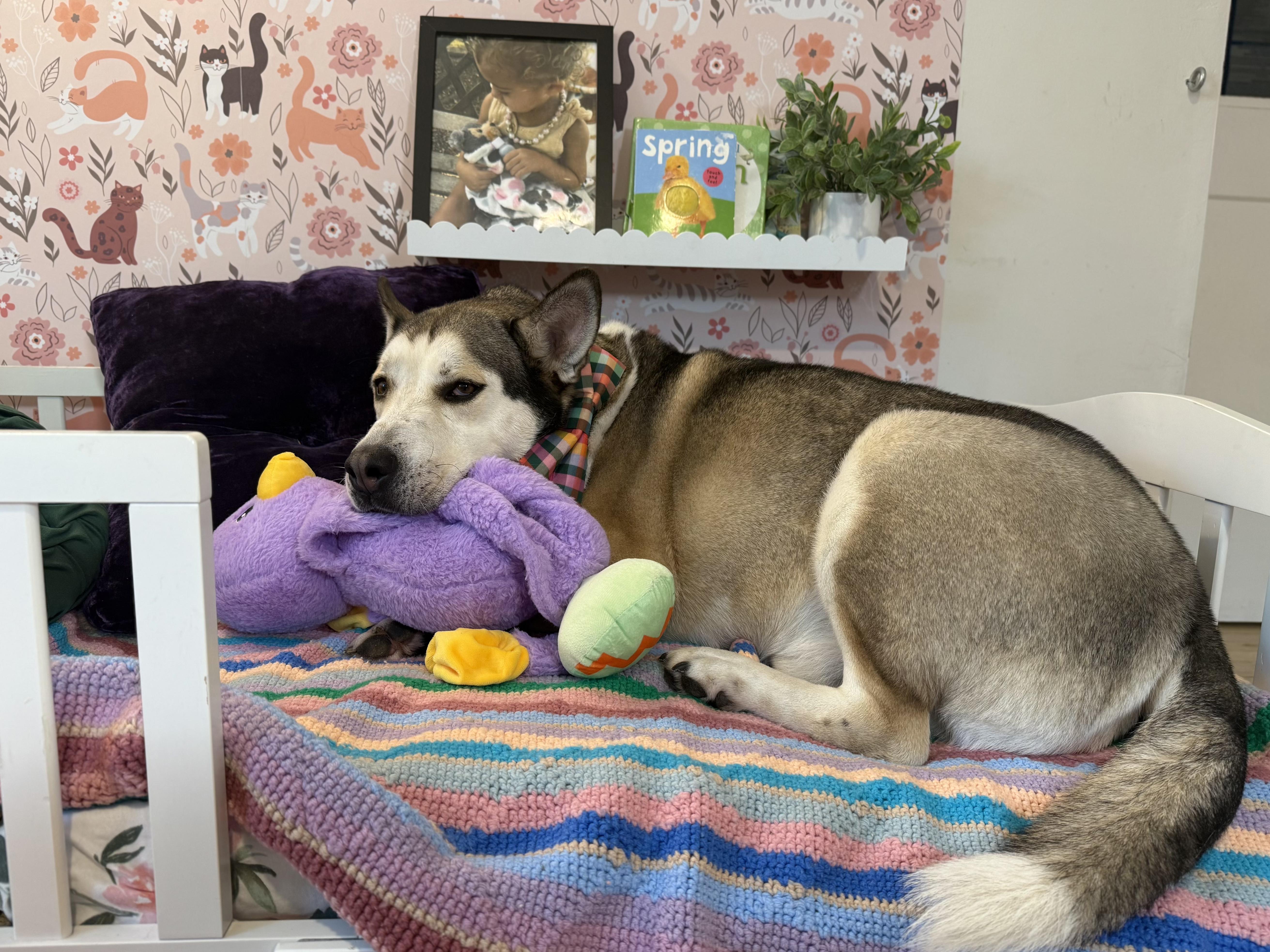 Louie Bouie thumbnail 5