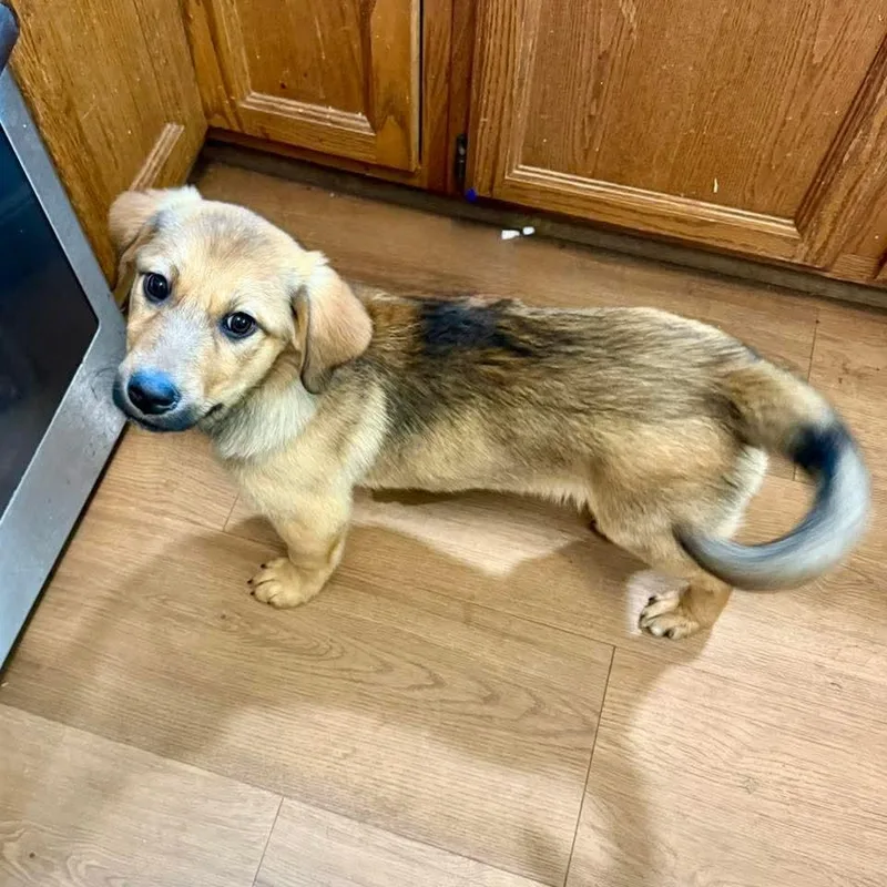 Felicity thumbnail 3