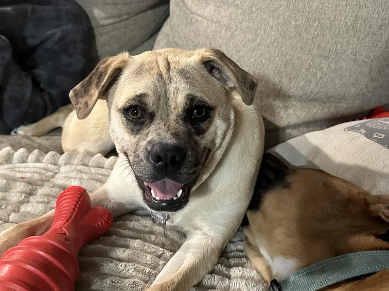 Mixie Moon ~ Local thumbnail 3