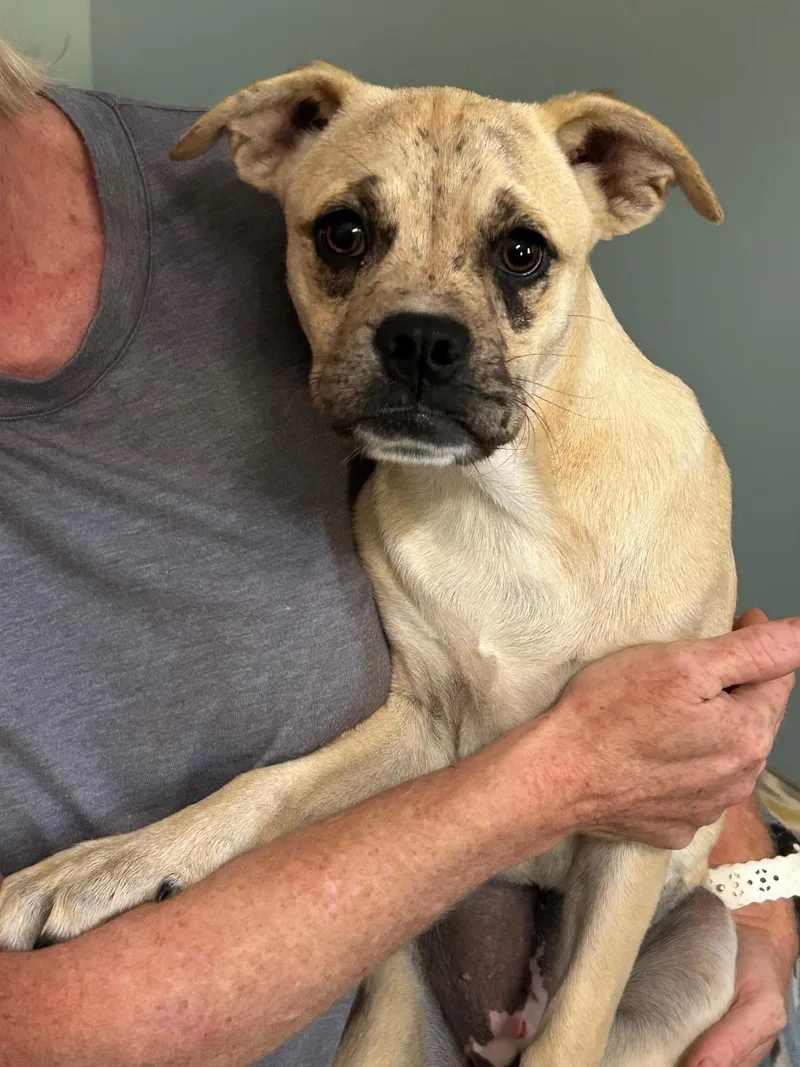 Mixie Moon ~ Local thumbnail 4