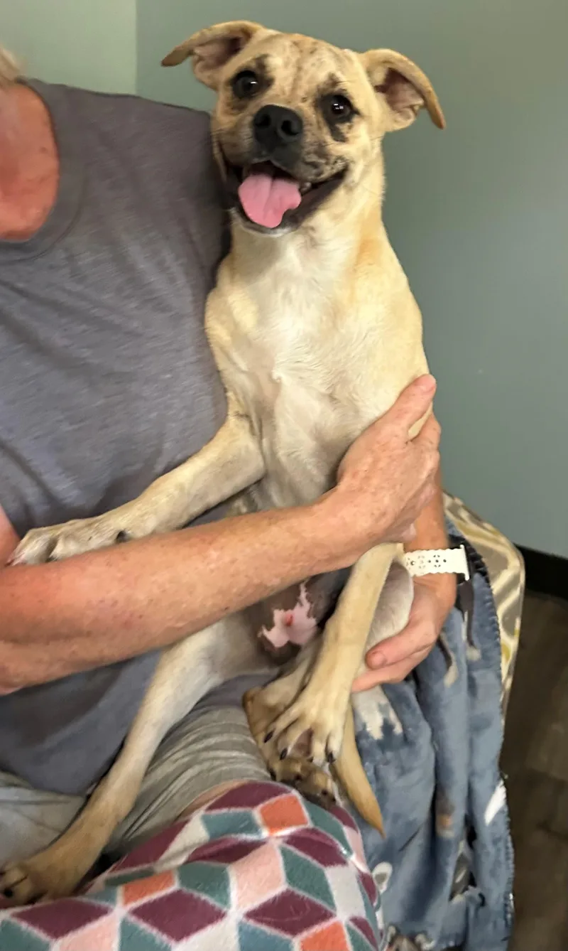 Mixie Moon ~ Local thumbnail 5