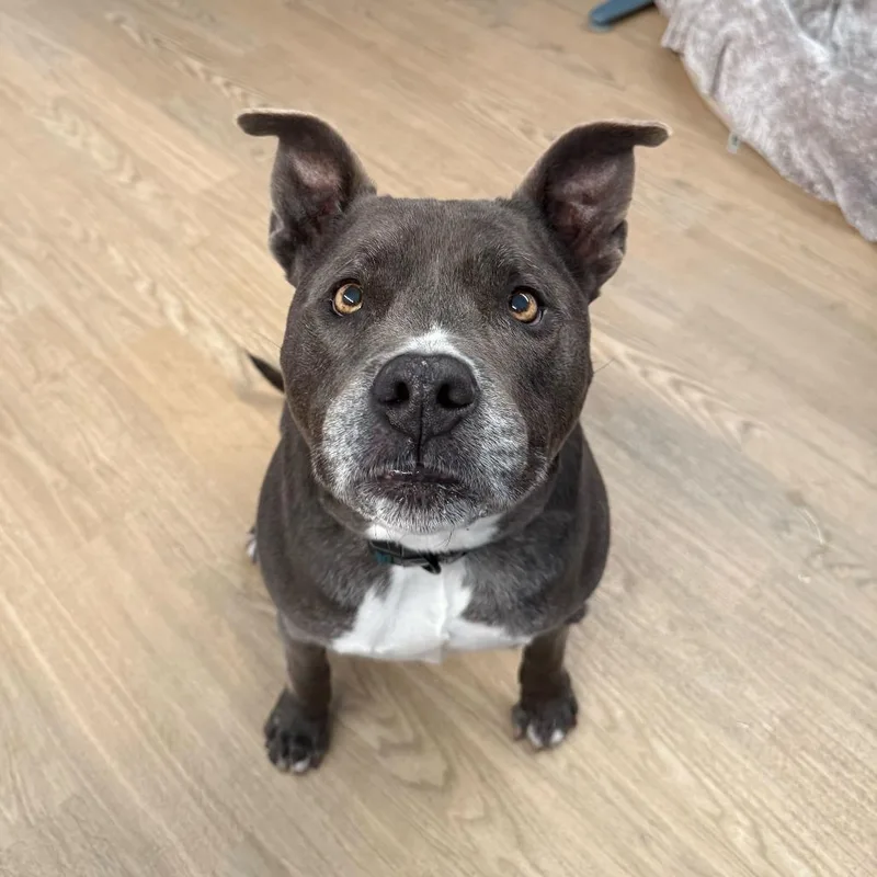 Herringbone thumbnail 5