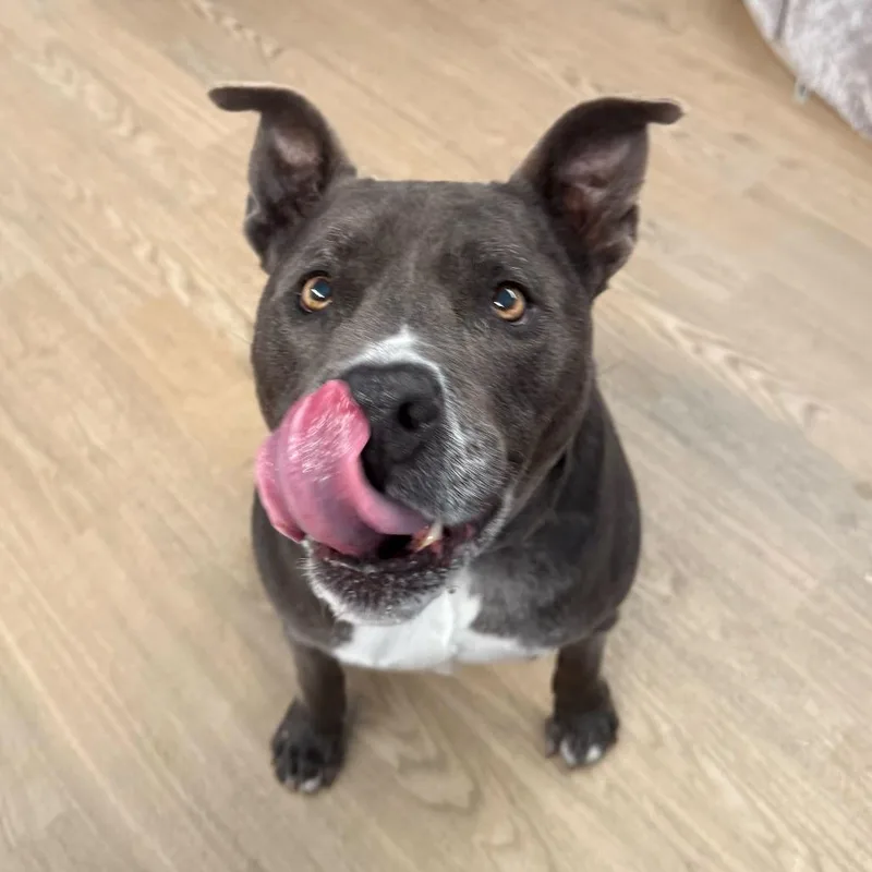 Herringbone thumbnail 6