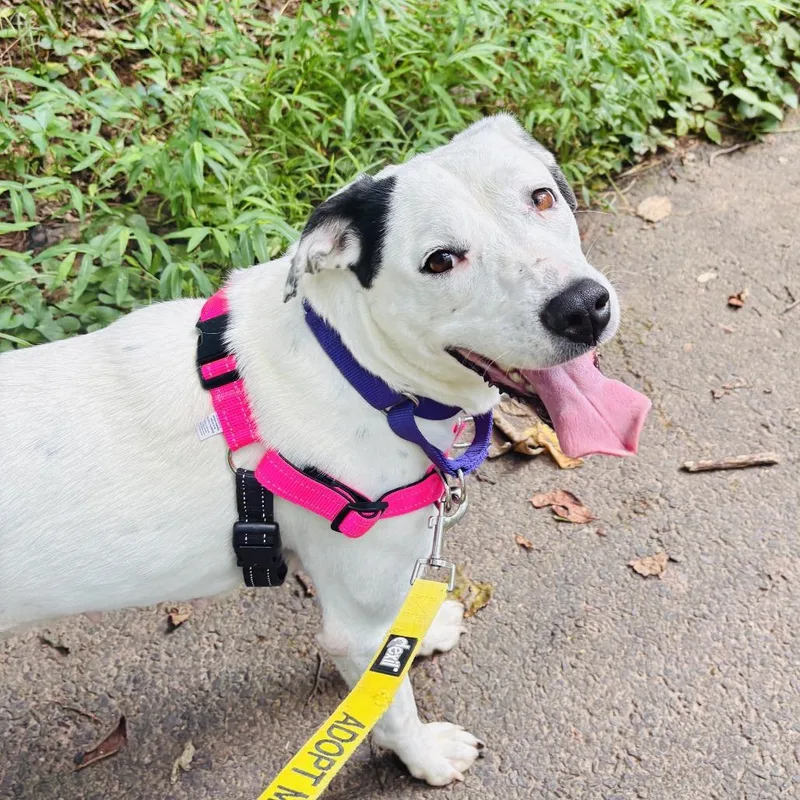 Baby Spots thumbnail 4