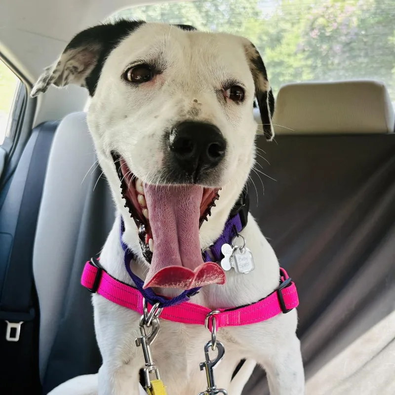 Baby Spots thumbnail 5