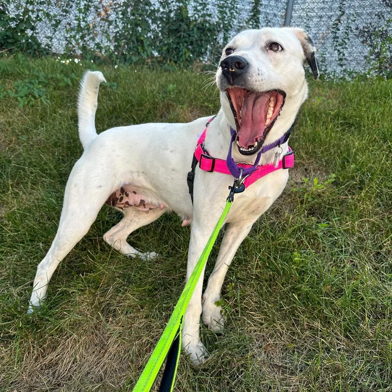 Baby Spots thumbnail 6