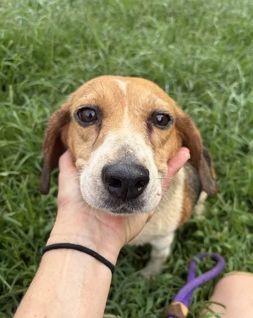 Bonnie