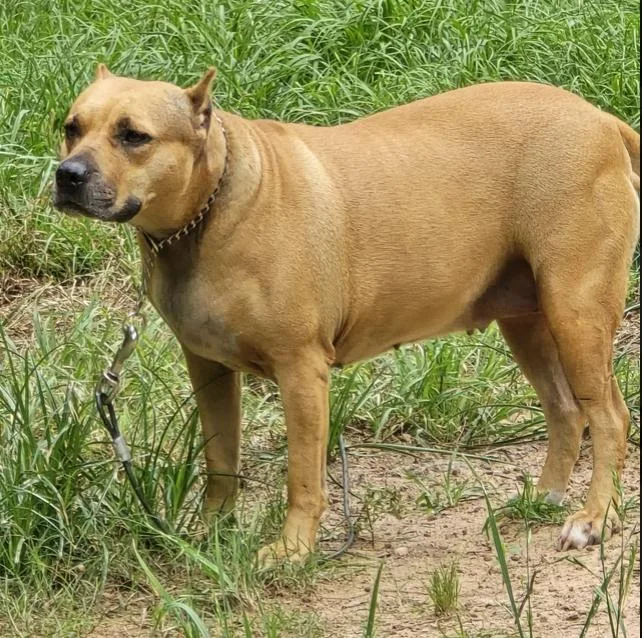 Rayna