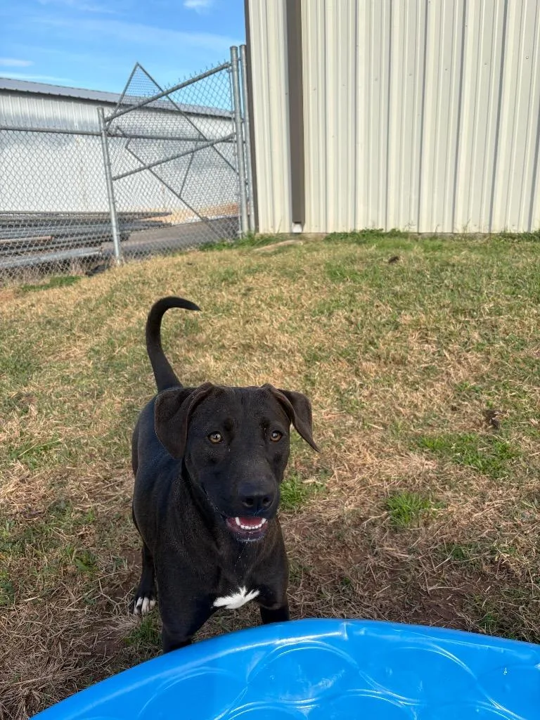 Marjorie thumbnail 2