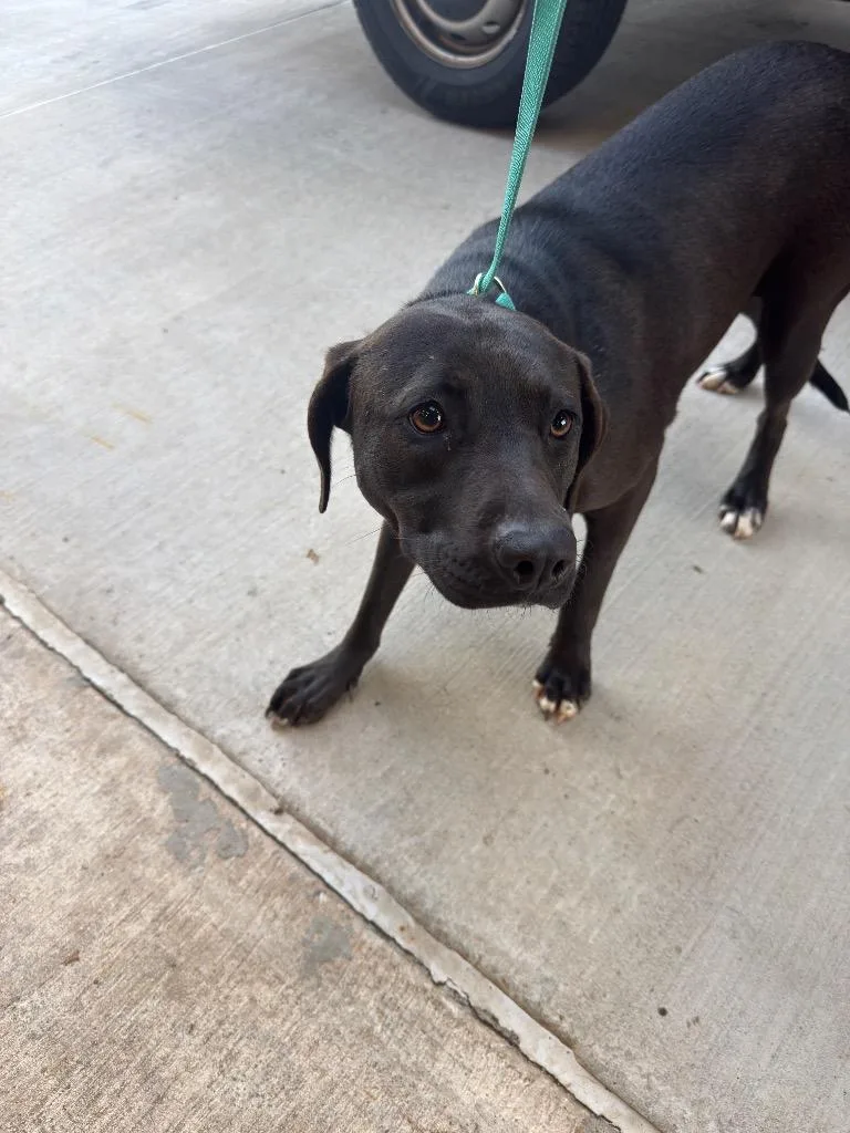 Marjorie thumbnail 3