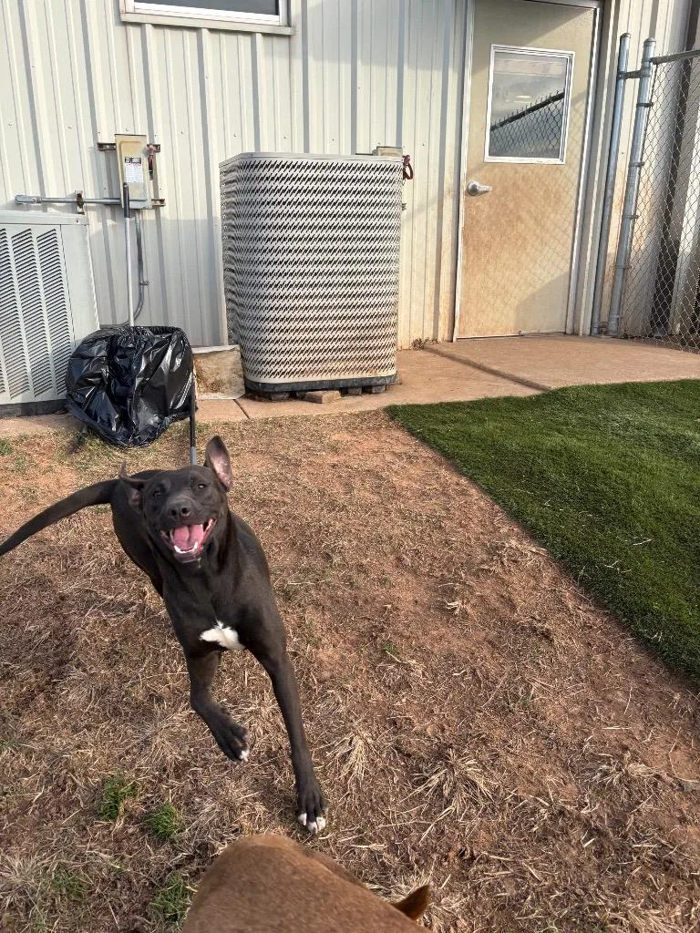 Marjorie thumbnail 4