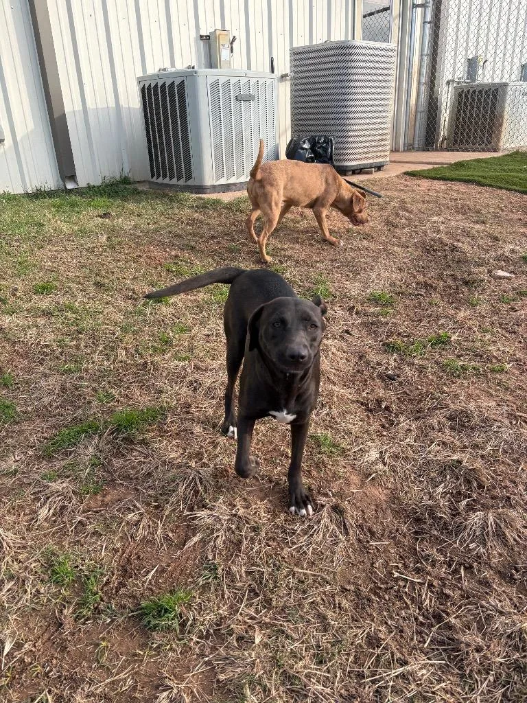 Marjorie thumbnail 5