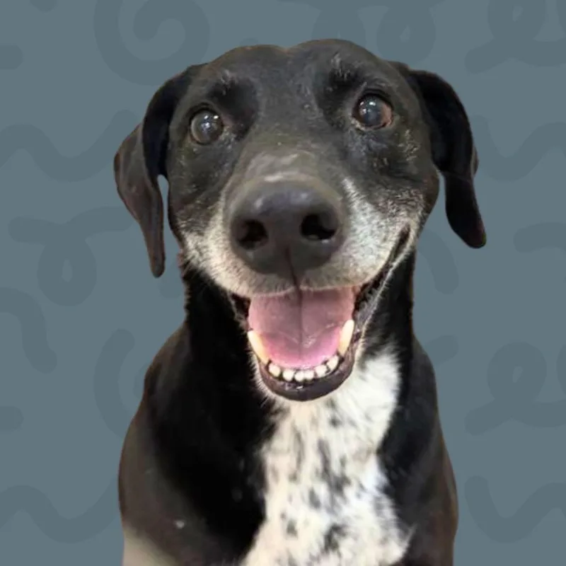 Max