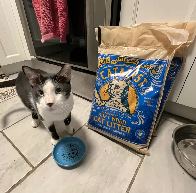 Moose Edgewood thumbnail 6