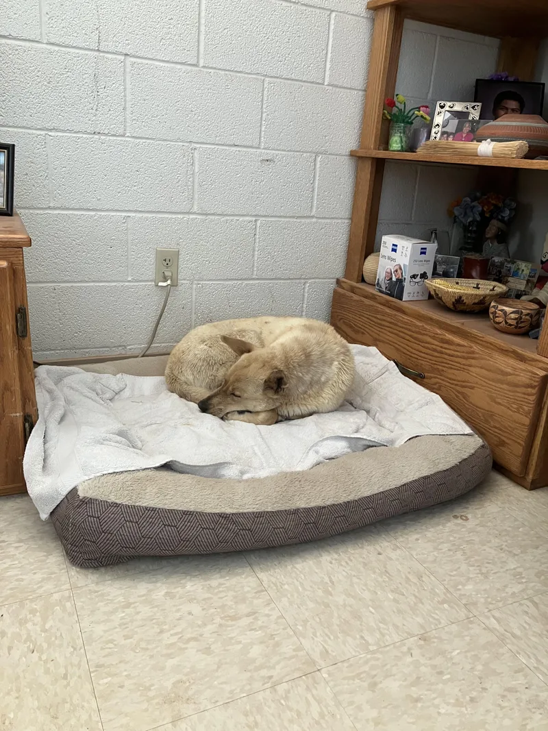 Cooper thumbnail 3