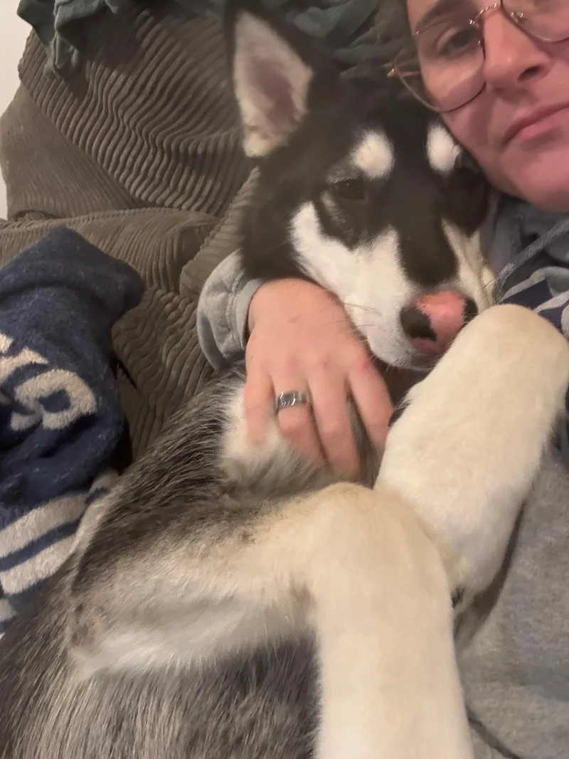 Gallagher thumbnail 4