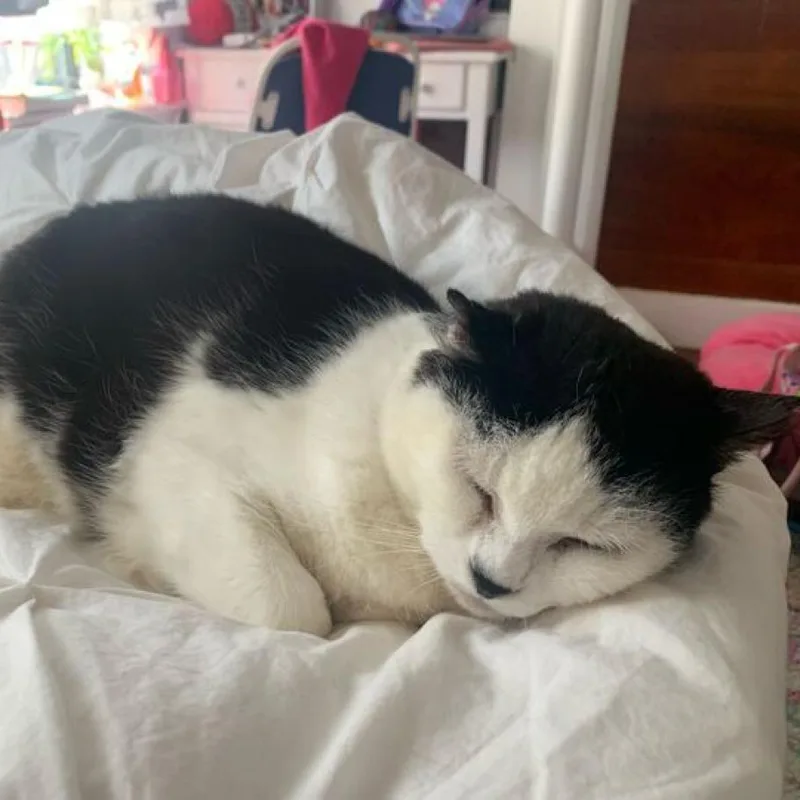 Starlight thumbnail 2