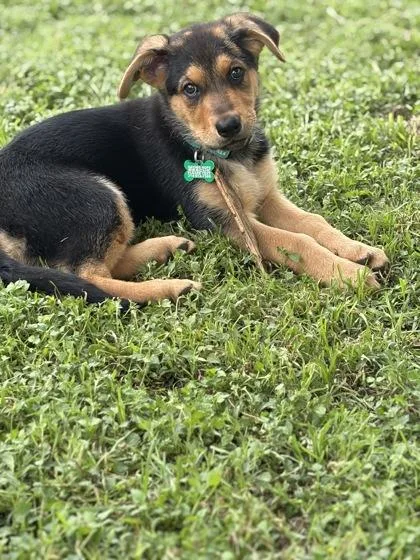 Lula Belle thumbnail 2