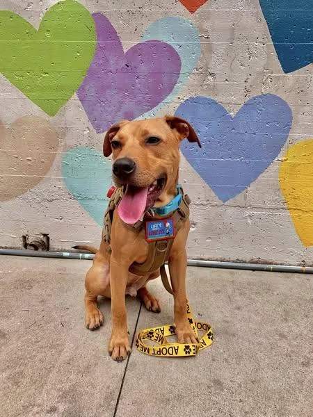 Jeremiah thumbnail 2