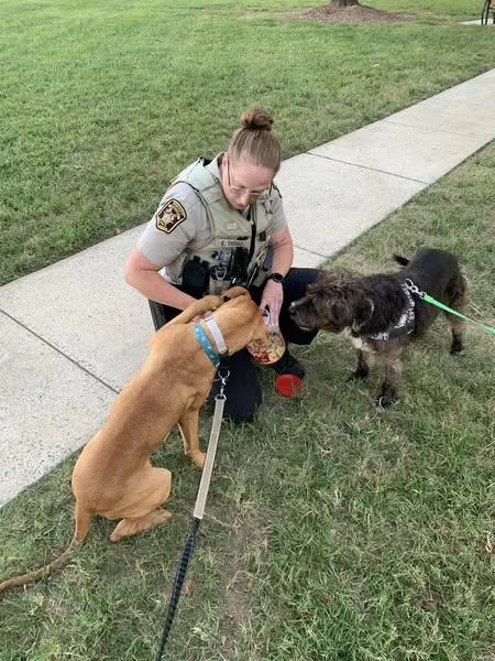 Jeremiah thumbnail 3