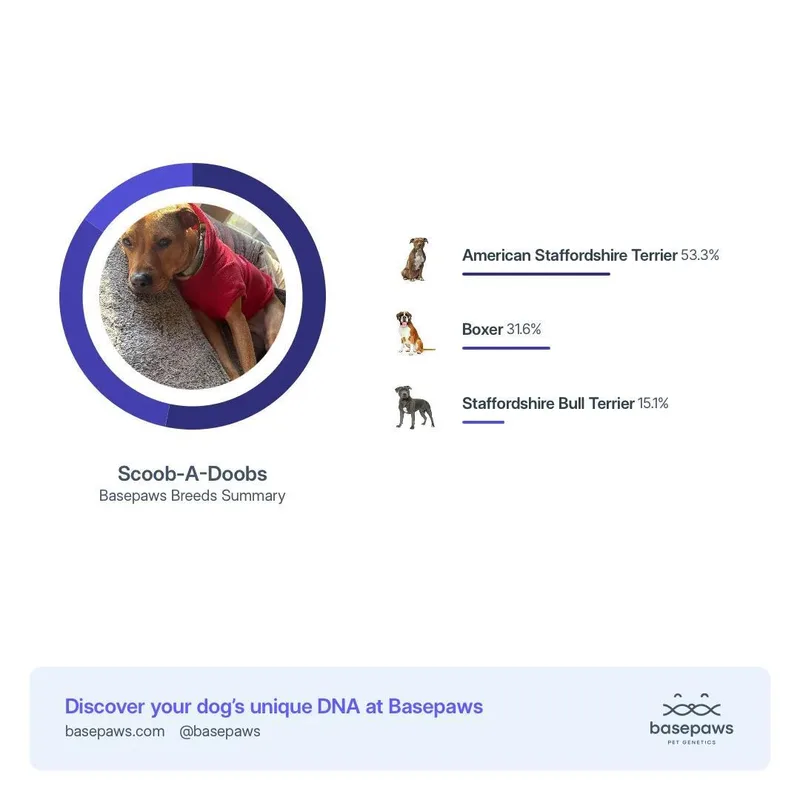 Jeremiah thumbnail 4