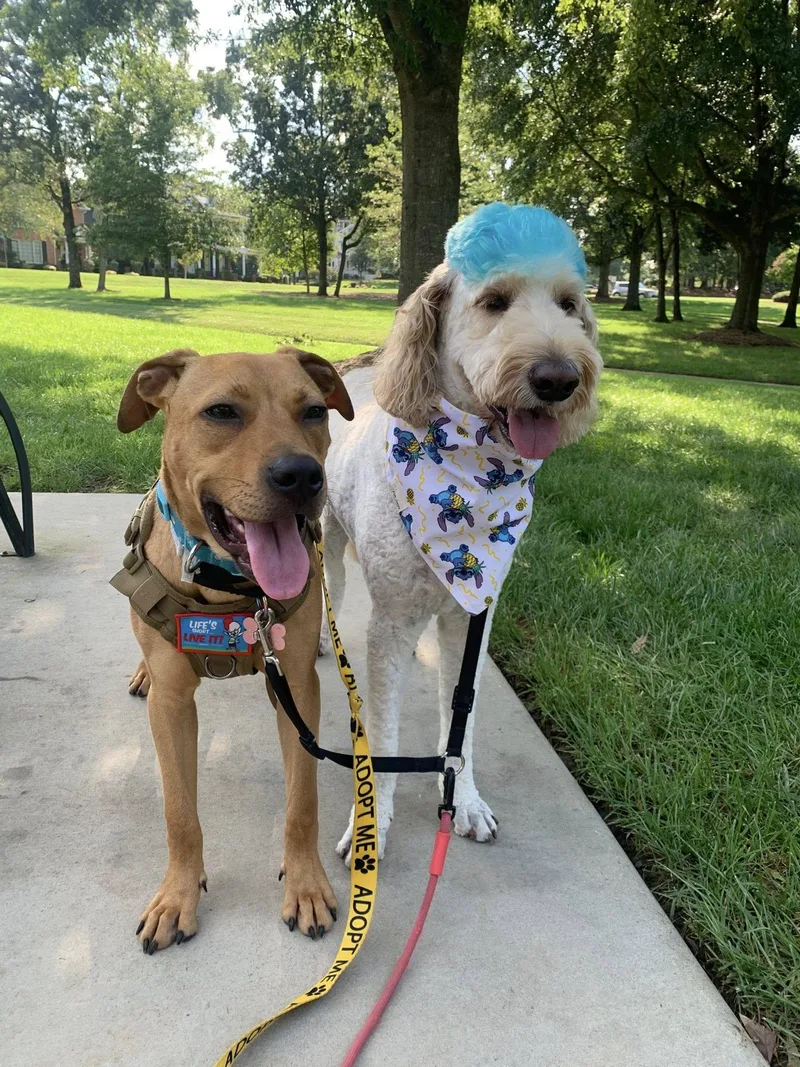 Jeremiah thumbnail 5