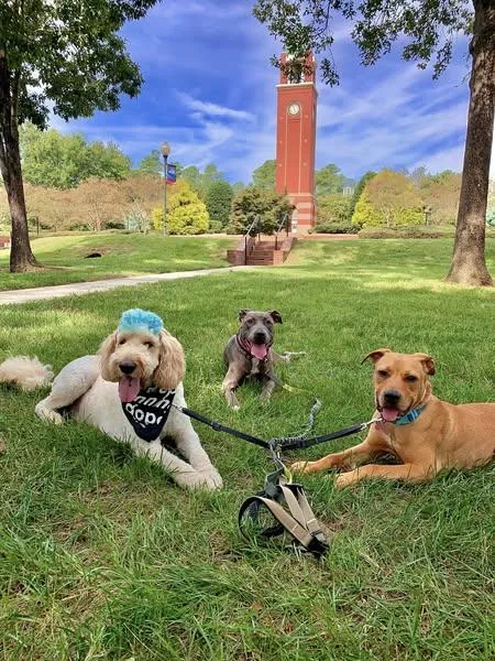 Jeremiah thumbnail 6