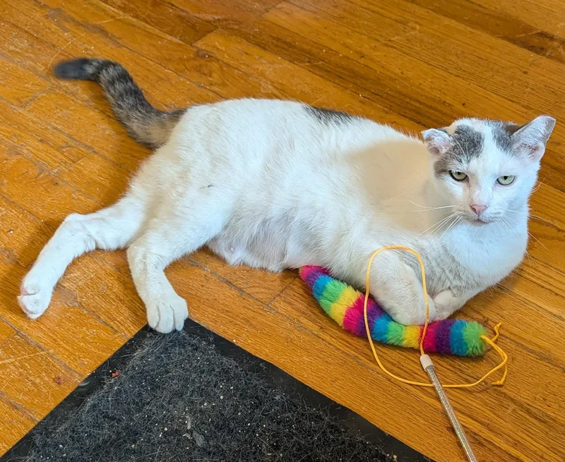 Puff The Magic Dragon thumbnail 2