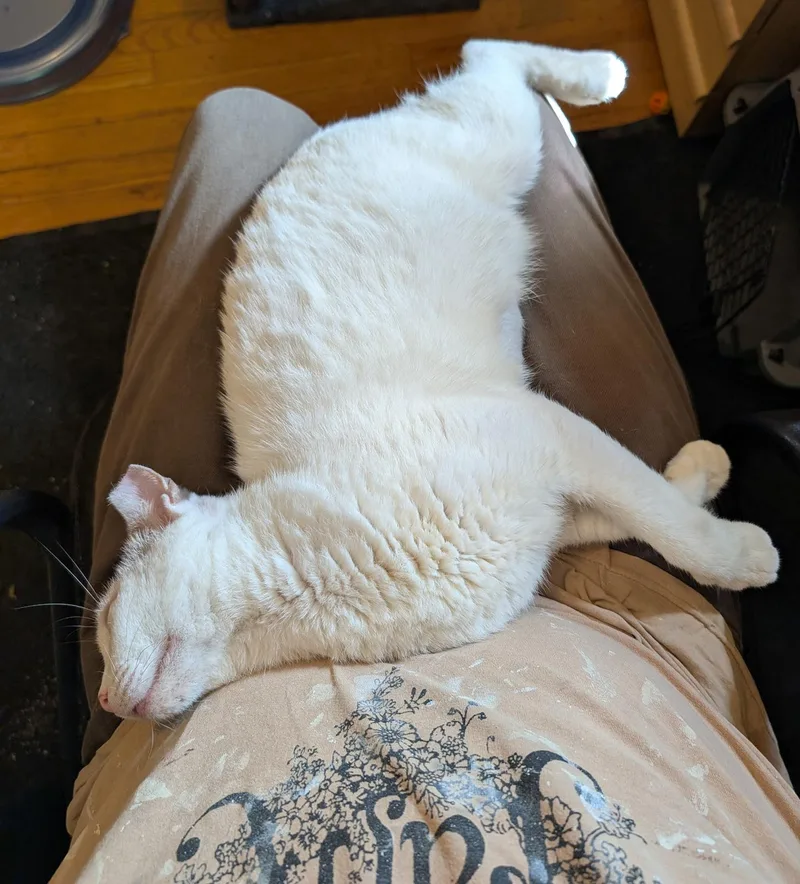 Puff The Magic Dragon thumbnail 3