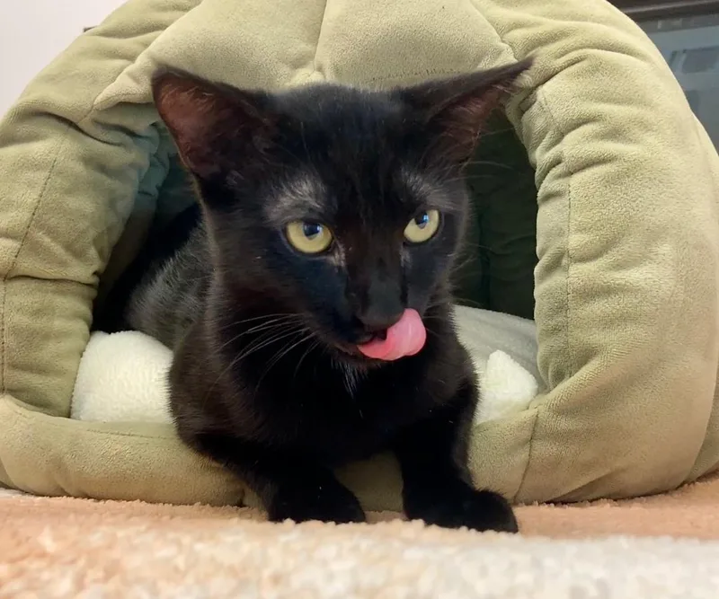 Wednesday thumbnail 2