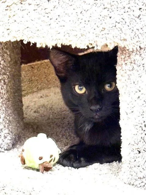 Wednesday thumbnail 3