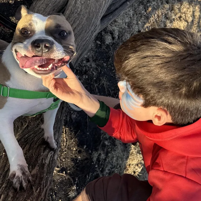 Biscotti thumbnail 2