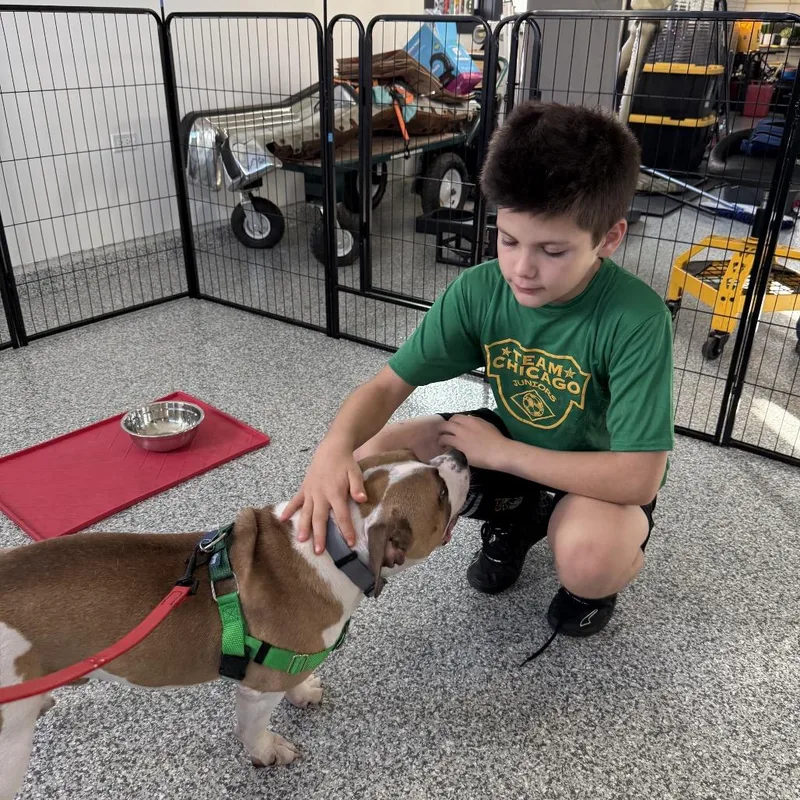 Biscotti thumbnail 6