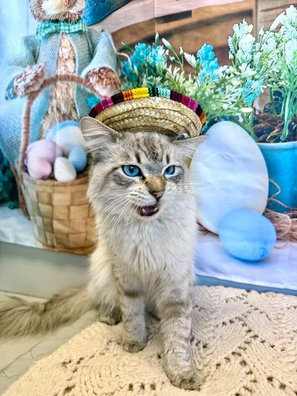 Derek Morgan thumbnail 2