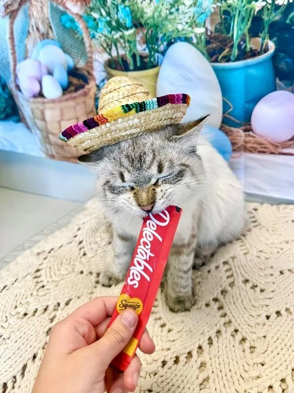 Derek Morgan thumbnail 5