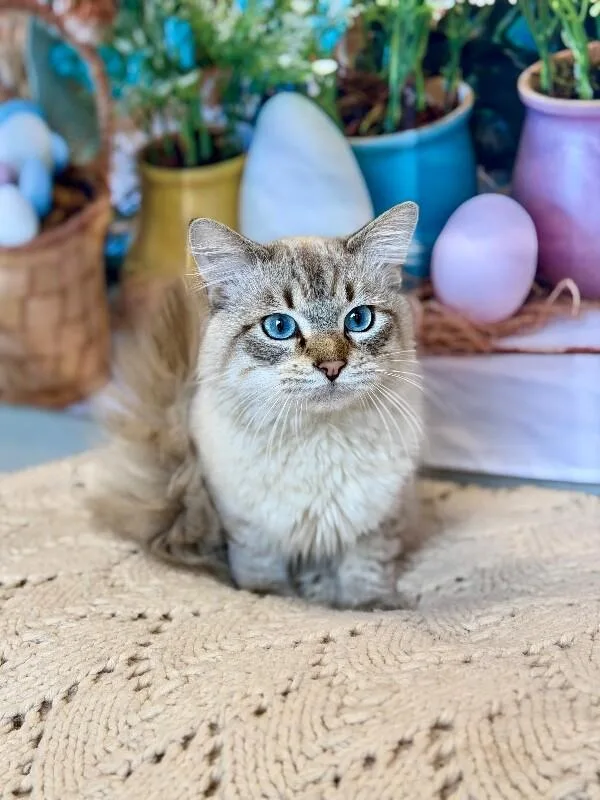 Derek Morgan thumbnail 6