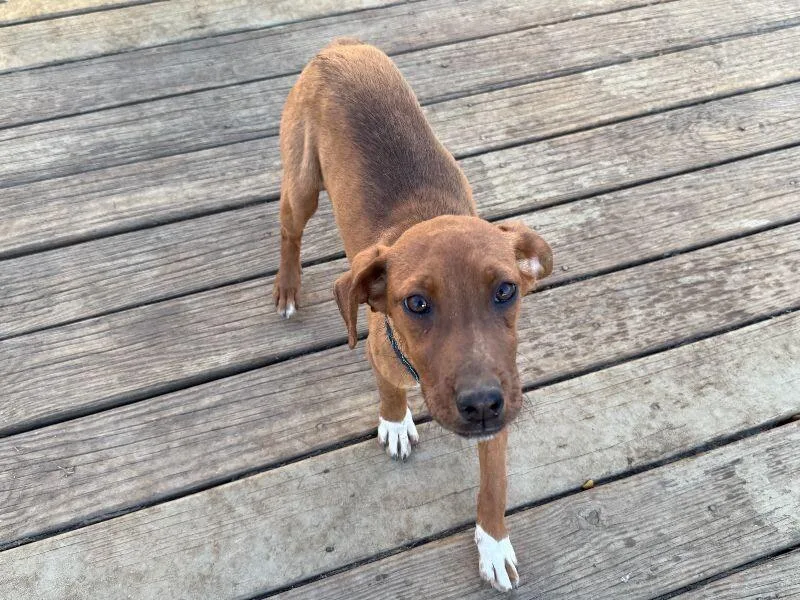 Rocky Road thumbnail 2