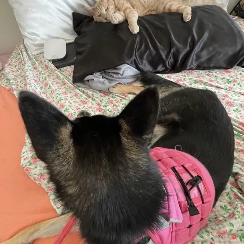 Kallie thumbnail 2