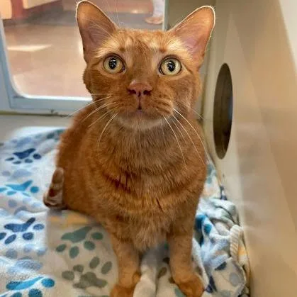 Fredrick thumbnail 2