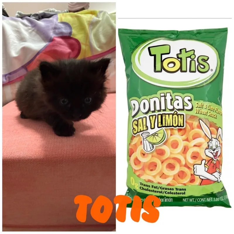 Totis