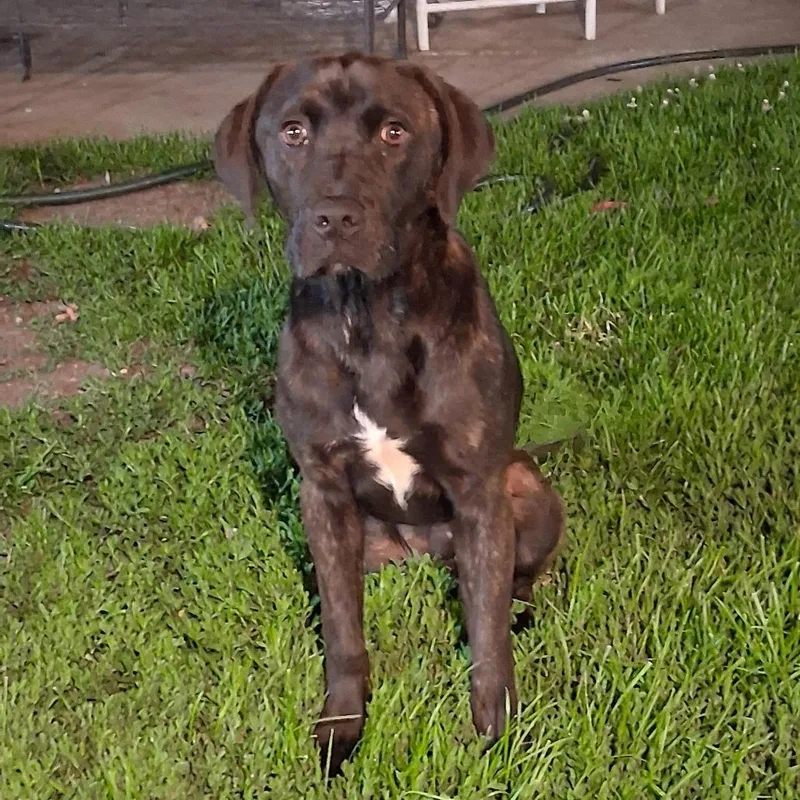 Luna Home to