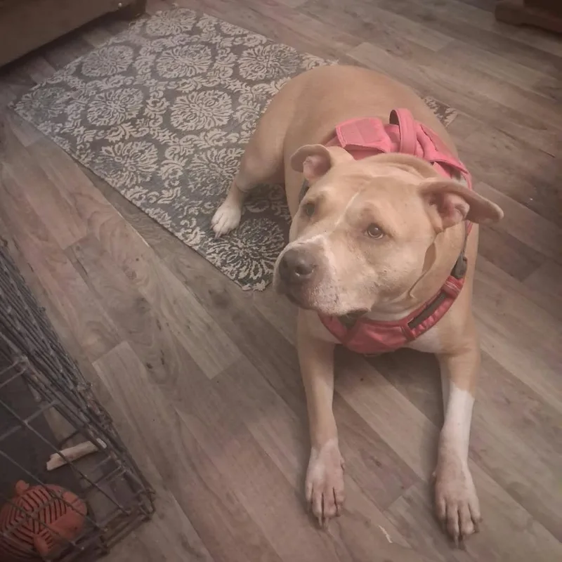 Nyla Lynn thumbnail 2